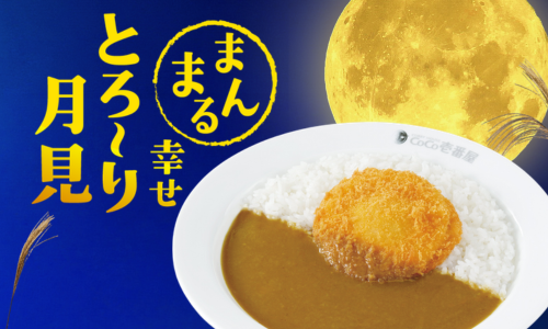 今のおすすめ